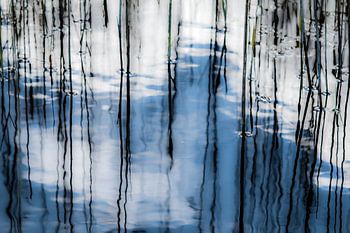 I still got the blues for you