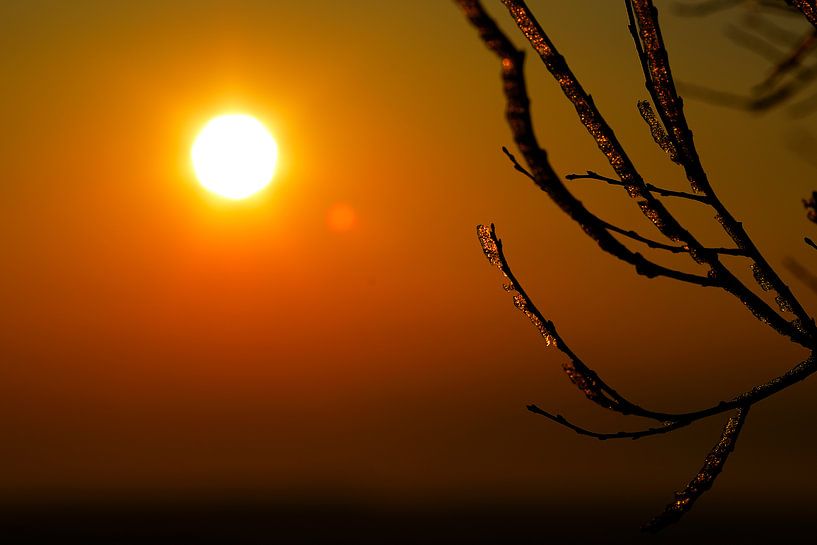 Die Sonne soll scheinen von rik janse