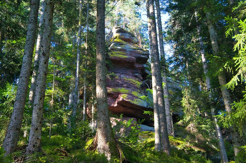 Une roche puissante dans les Vosges par Tanja Voigt