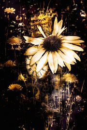 The coneflower on the clock and among the dandelions by Helga Blanke
