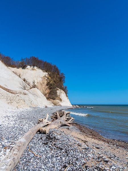 Chalk cliffs on the coast of the Baltic Sea on the island of Rügen by Rico Ködder