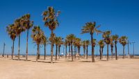 Strand Valencia par Arno Litjens Aperçu