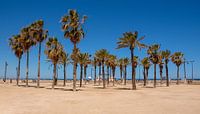 Strand Valencia