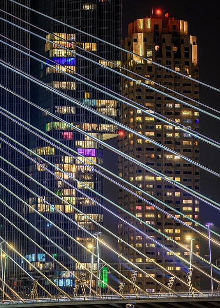 Illuminated tethers of the Erasmus Bridge by Leon Okkenburg