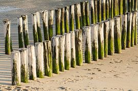 Twee rijen wit groene paalhoofden op een strand in Zeeland van Tonko Oosterink
