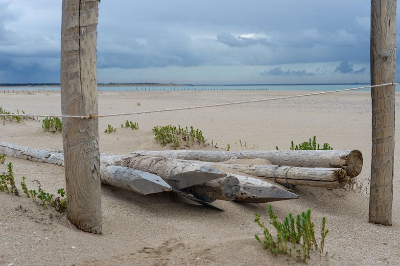 Beach life by Michelle Van Den Berg