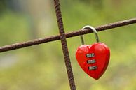 Rood hangslot in hartvorm van Tonko Oosterink thumbnail