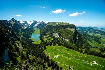 Uitzicht op de Sämtisersee en de Appenzeller Alpen van Leo Schindzielorz