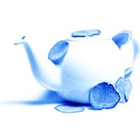 Delftsblauwe Bloemen - Theepot 22