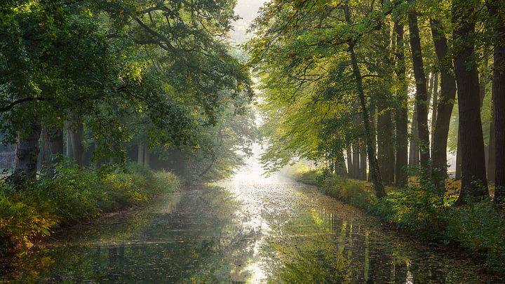 When the leaves are turning van <span class="secondary-font">Arnoud van de Weerd</span>