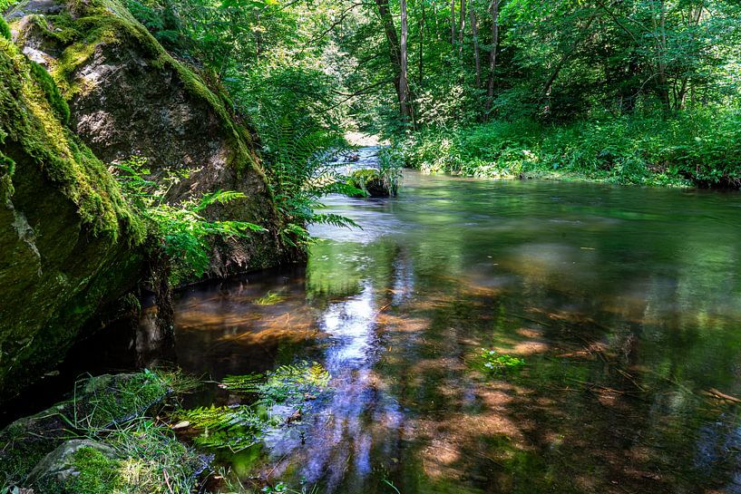 Rivier in het Triebtal Vogtland Sachsen van Animaflora PicsStock