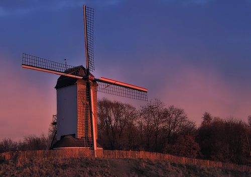 Koutermolen