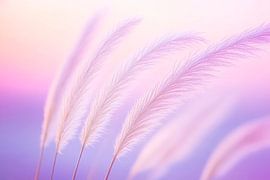 Zarte Gräser im sanften Licht von Poster Art Shop