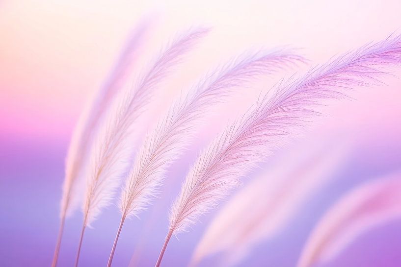 Delicate grasses in soft light by Poster Art Shop
