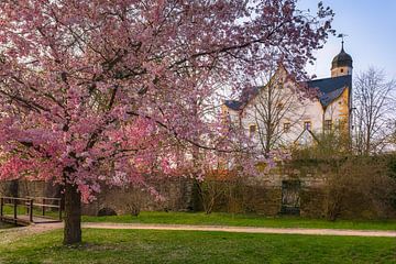 Wasserschloss Klaffenbach im Frühling