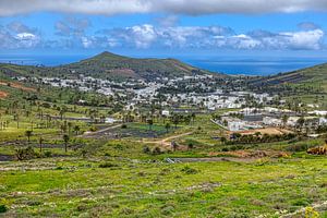Valle de Rinco, Haria (Lanzarote)