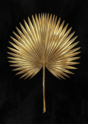 Golden Fan