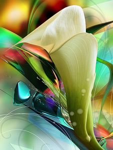 Calla Power von Andreas Wemmje