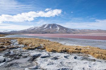 Laguna Colorada