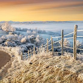 Une lueur d'hiver matinale sur Ruud Peters
