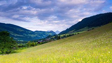 Mountain meadow in the Alps by Guenter Purin