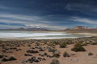 Salzebene auf dem Altiplano in Bolivien mit den Anden im Hintergrund von A. Hendriks Miniaturansicht