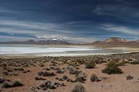 Zoutvlakte op de Altiplano in Bolivia met de Andes op de achtergrond