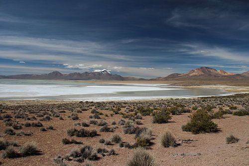 Zoutvlakte op de Altiplano in Bolivia met de Andes op de achtergrond