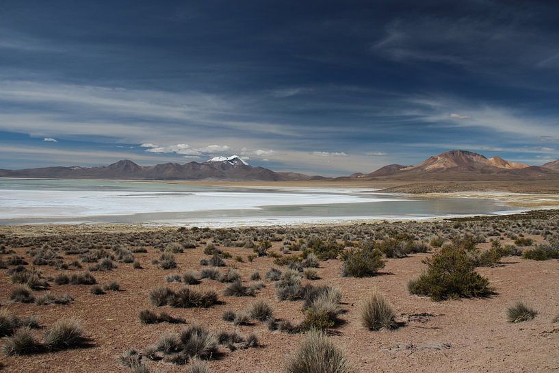Salzebene auf dem Altiplano in Bolivien mit den Anden im Hintergrund von A. Hendriks