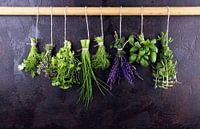 Verse kruiden hangen tegen een rustieke achtergrond. Basilicum, salie, tijm, oregano, dille, biesloo