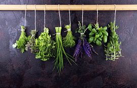 Verse kruiden hangen tegen een rustieke achtergrond. Basilicum, salie, tijm, oregano, dille, biesloo van Beats