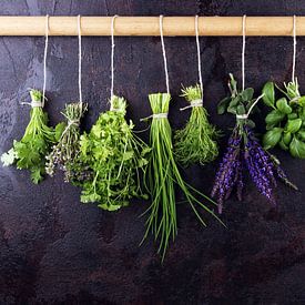 Frische Kräuter hängen vor einem rustikalen Hintergrund. Basilikum, Salbei, Thymian, Oregano, Dill,  von Beats