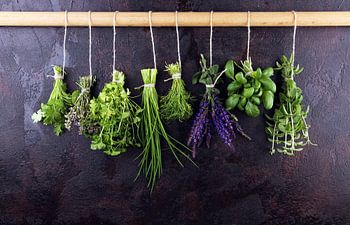 Verse kruiden hangen tegen een rustieke achtergrond. Basilicum, salie, tijm, oregano, dille, biesloo