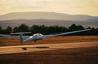 Glider by Andre Michaelis thumbnail