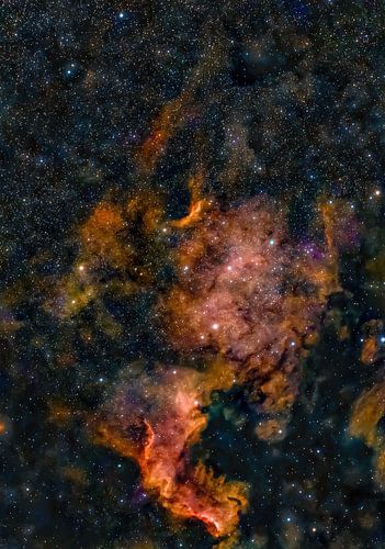 NGC 7000 The North America nebula sur Nildo Scoop
