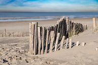 Hekje op het strand, de zomer lonkt ... van Don Fonzarelli thumbnail
