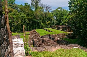 Guatemala: Archeologisch park en ruïnes van Quirigua