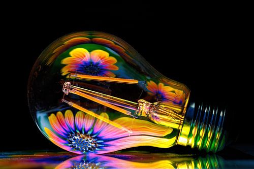 Flower lamp - play with reflections of a flower image