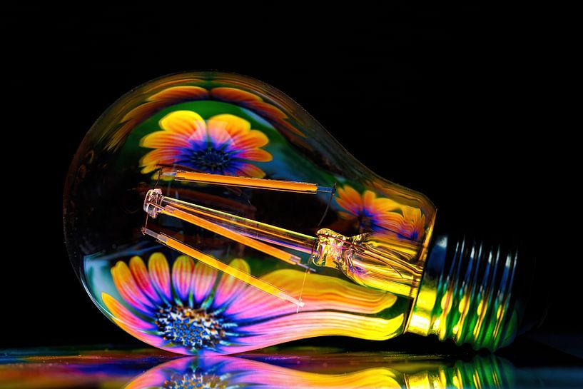 Blühlampe - Spiel mit Spiegelungen eines Blütenbildes von Ronald Kehrwieder