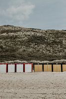 Cottages on the beach