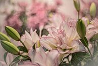 Pure perfection van Chris Biesheuvel I  Dream Scapes thumbnail