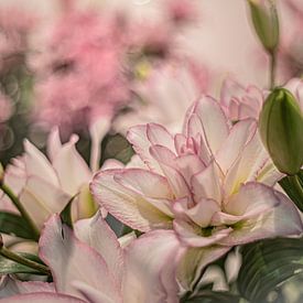 Pure perfection van Chris Biesheuvel I  Dream Scapes