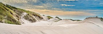 dunes along the Dutch coast in panorama