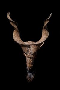Kopf einer Ziege mit großen Hörnern und einem isolierten Bart auf schwarzem Hintergrund, Symbol der  von Michael Semenov