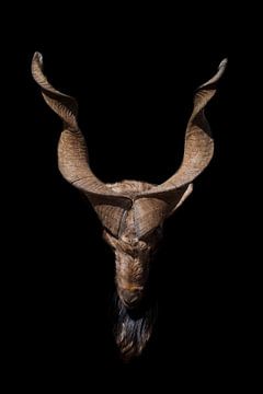 Kop van een geit met grote hoorns en een baard geïsoleerd op een zwarte achtergrond, symbool van de  van Michael Semenov