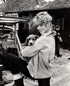 L'actrice française Brigitte Bardot et son chien sur David Potter