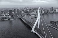 Erasmusbrug from 'The Rotterdam' van Tux Photography thumbnail