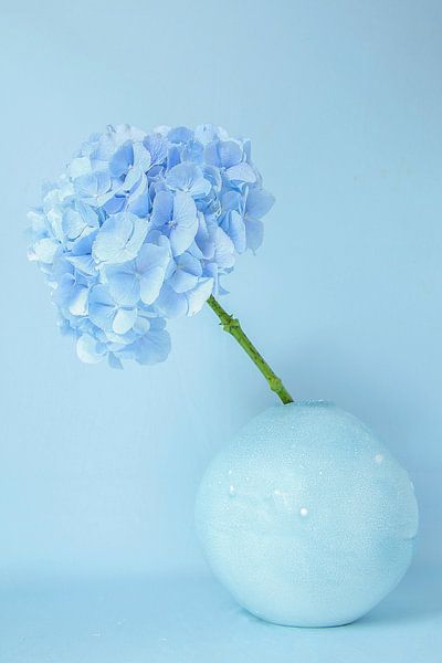 Couleurs 06 Bleu clair par Natasja van Heesch