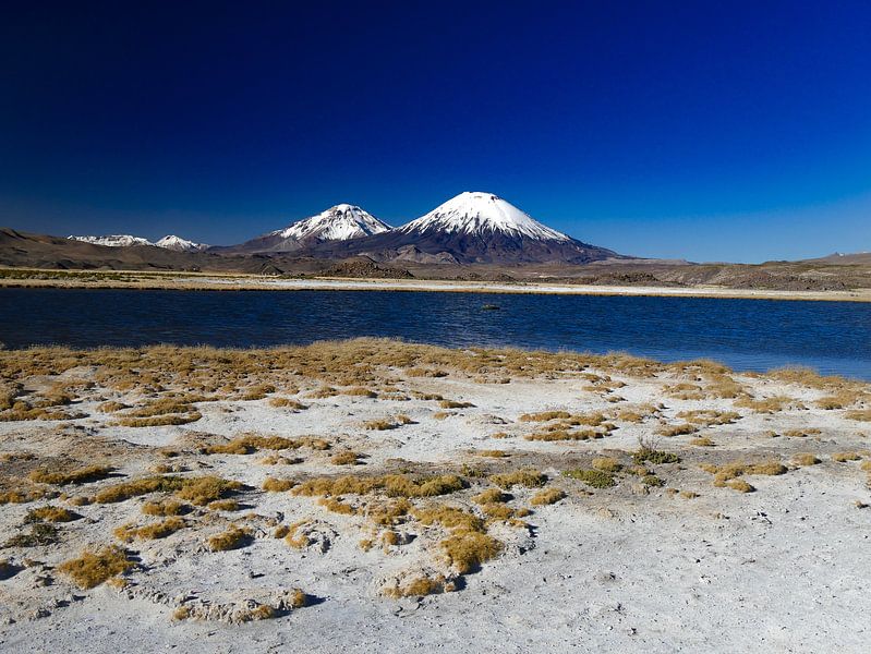 parinacota vulkaan dichtbij Arica by Eline Oostingh