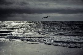 Borkum I by Axel Ellerhorst